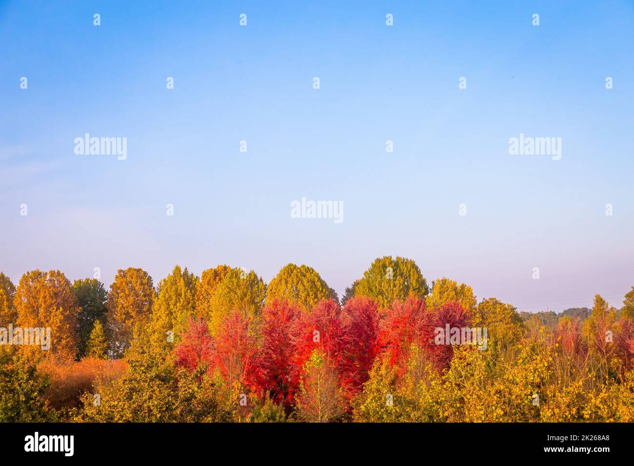 Saison d'automne avec ciel bleu et lumière de jour incroyable Banque D'Images