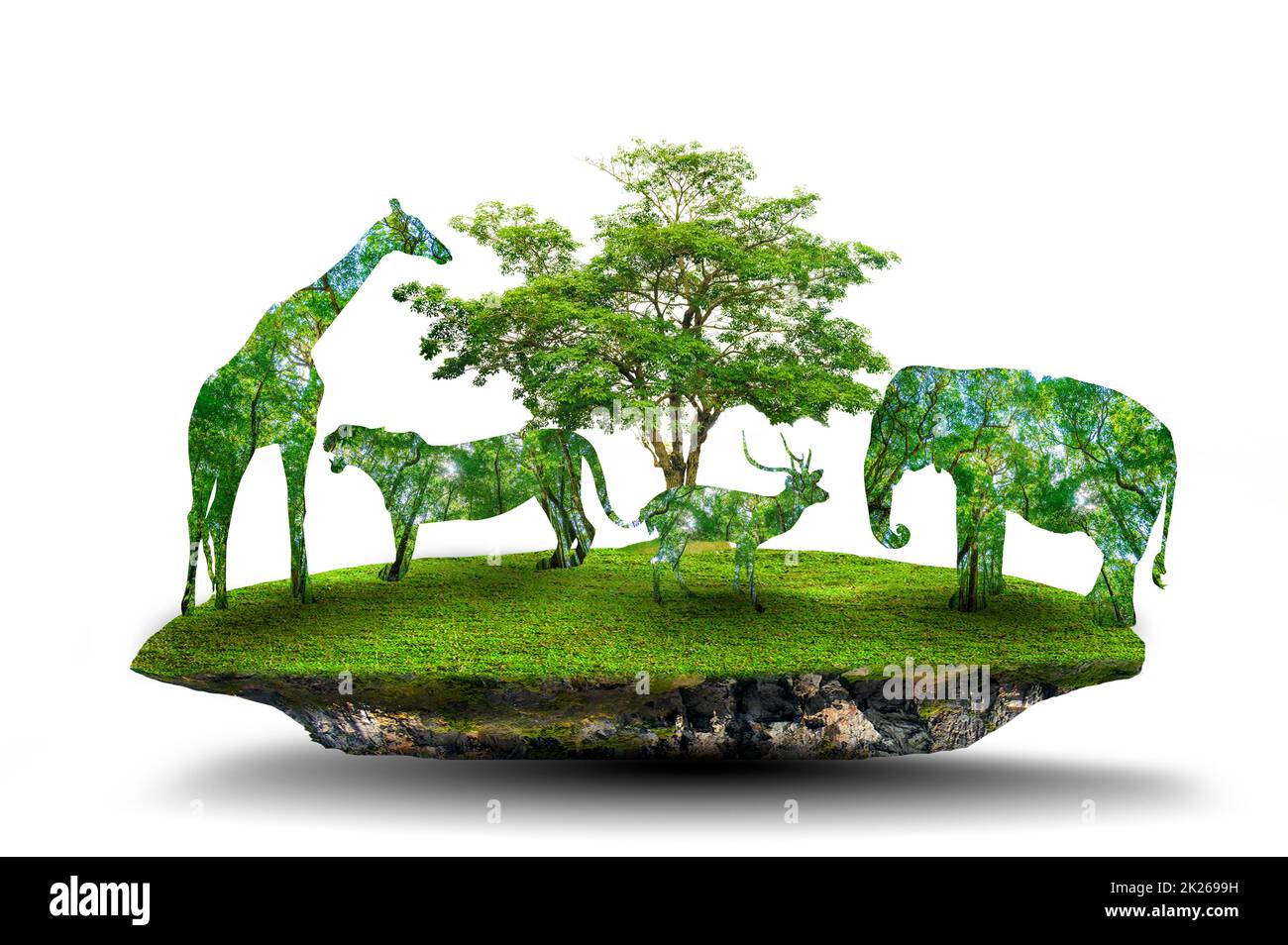 Silhouette de forêt de la Journée mondiale de la faune en forme de concept de conservation de la faune sauvage et de la forêt Banque D'Images Silhouette de forêt de la Journée mondiale de la faune en forme de concept de conservation de la faune sauvage et de la forêt Banque D'Images