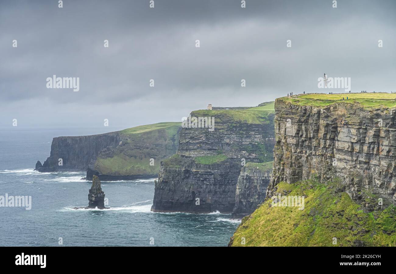 Des oiseaux de mer survolant les falaises emblématiques de Moher avec la tour OBriens sur une longue distance, en Irlande Banque D'Images