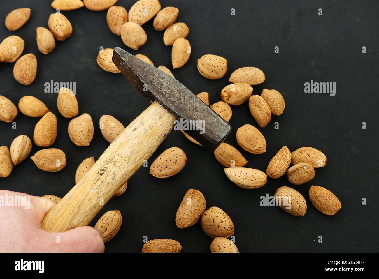 cassez les amandes décortiquées sèches avec un marteau. massez et séchez les amandes Banque D'Images