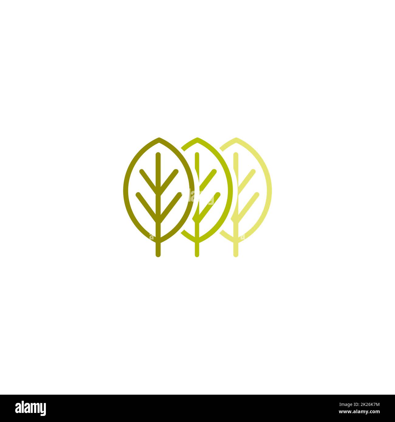 La couleur verte abstraite isolée laisse le logo vectoriel de contour. Illustration vectorielle d'arbres inhabituels. Panneau des éléments naturels. Symbole des produits biologiques. Banque D'Images
