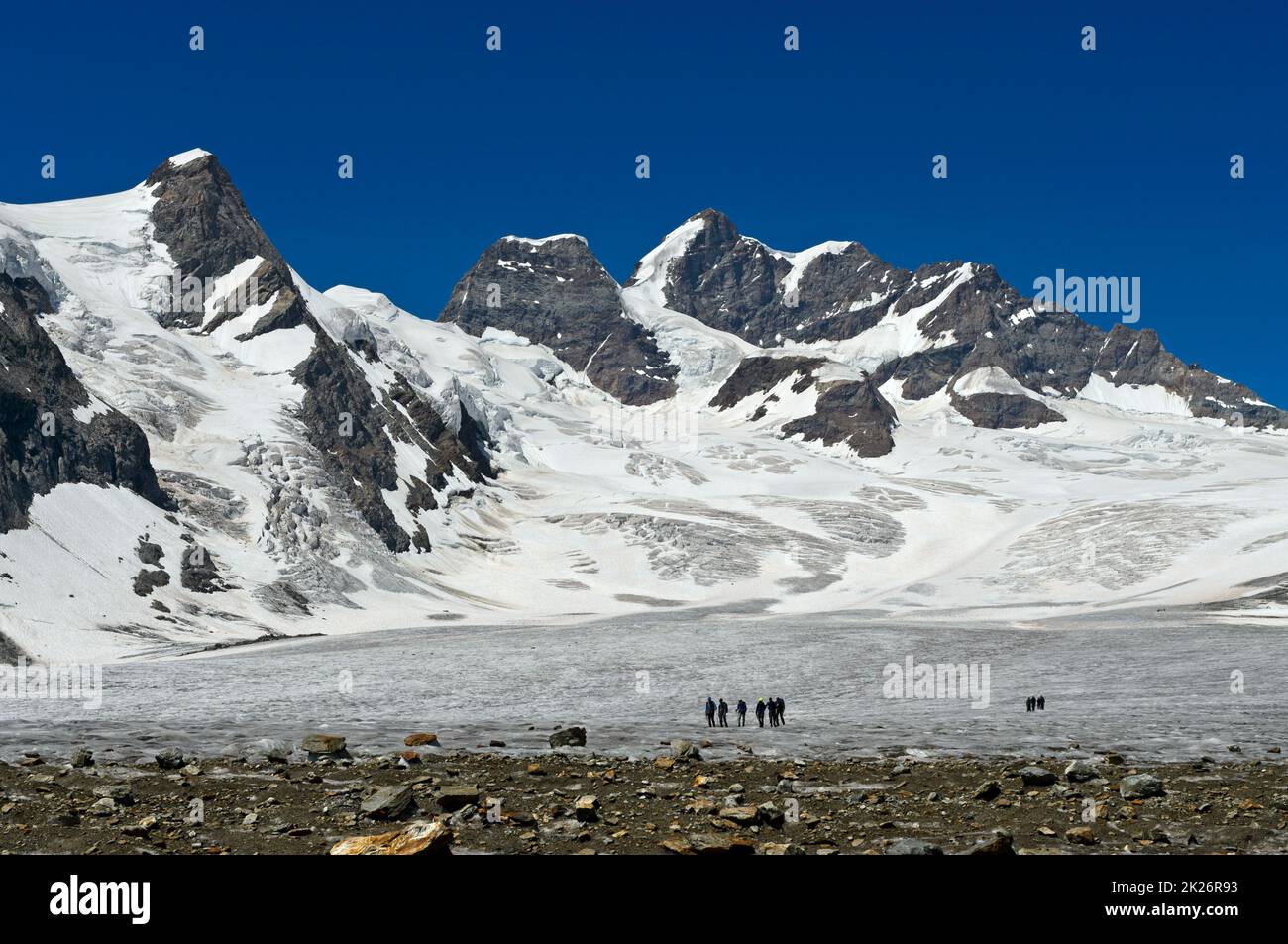 Un groupe d'alpinistes sur le champ de glace de la Jungfraufirn, le sommet de la Jungfrau derrière, les Alpes suisses Jungfrau-Aletsch, classées au patrimoine mondial de l'UNESCO, Grindelwal Banque D'Images