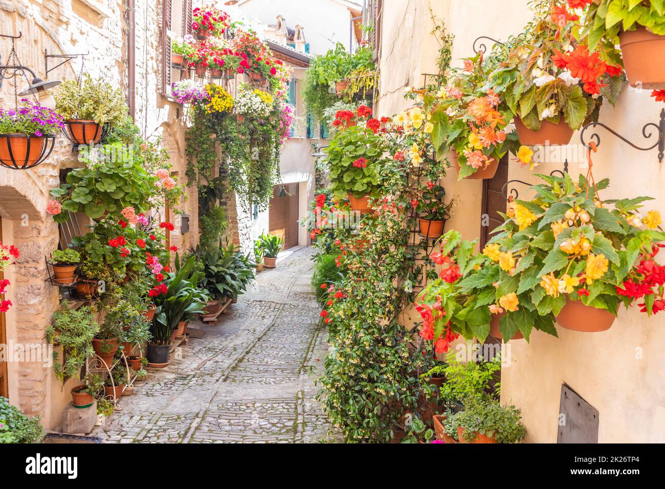 Fleurs dans l'ancienne rue située dans le village de Spello.Région de l'Ombrie, Italie. Banque D'Images