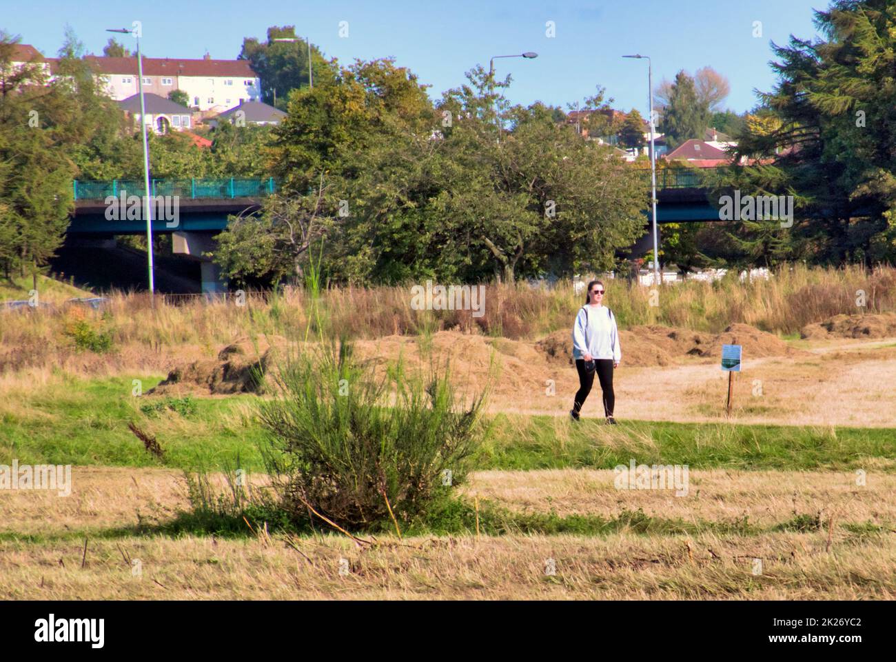 Glasgow, Écosse, Royaume-Uni 22nd septembre 2022. Une zone de broussailles entre la voie de remorquage du canal Forth et clyde et la grande route ouest A82 est un tracteur coupé prêt pour le flétrissement naturel pour les fleurs sauvages et les plantes adaptées aux abeilles et aux insectes dans le cadre du programme d'espaces verts. Crédit Gerard Ferry/Alay Live News Banque D'Images