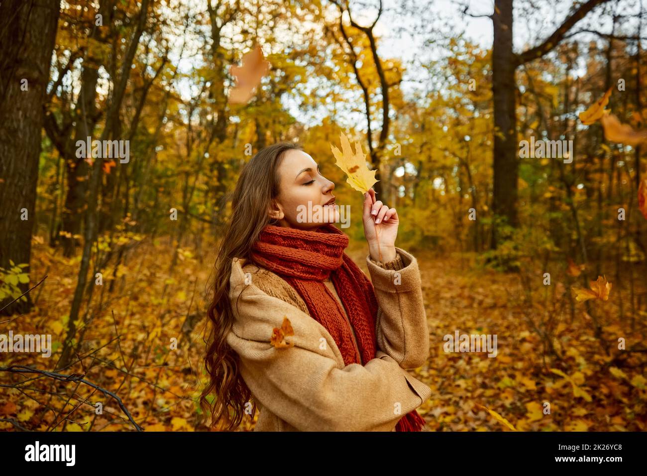 Feuille d'érable d'automne en forme de coeur à la main Banque D'Images