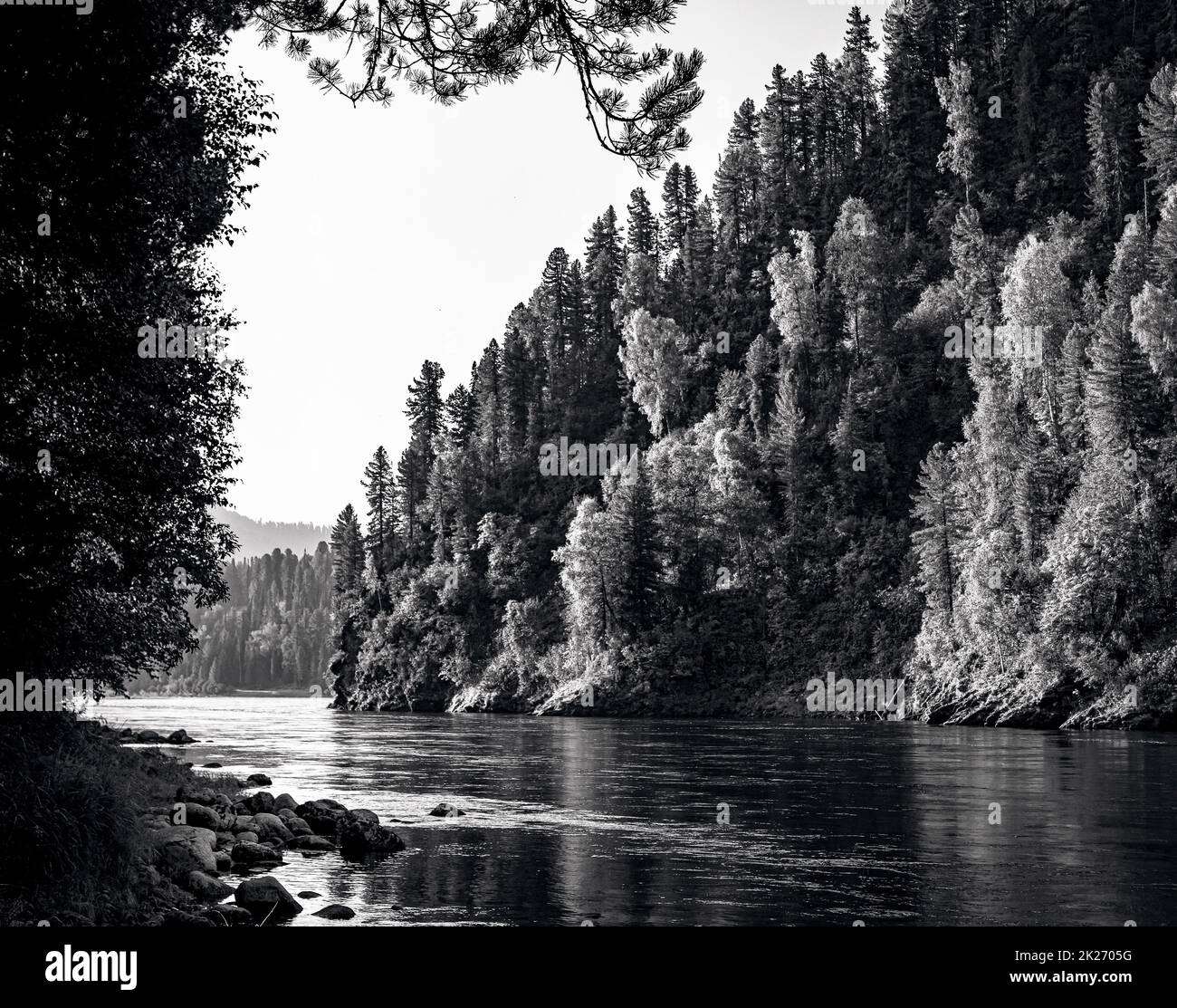 Le paysage avec la rivière Biya à Altay Banque D'Images