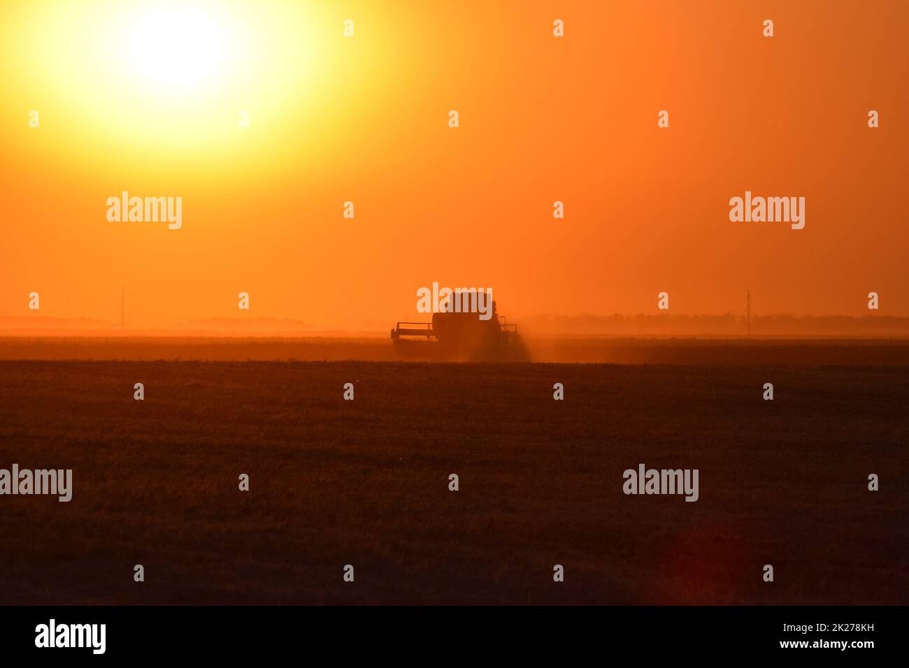 La récolte par associe au coucher du soleil. Banque D'Images