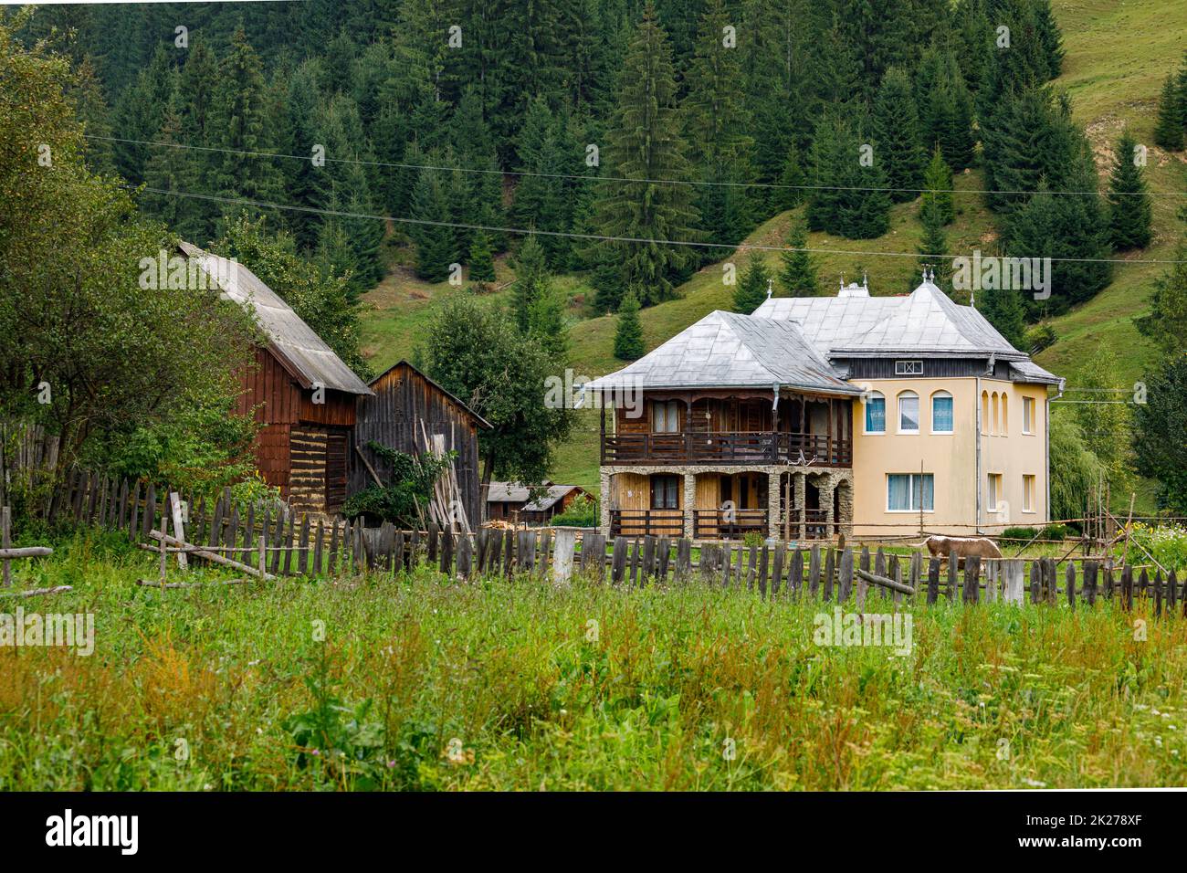 Maisons anciennes dans un village de Moldovita dans la Bucovine en Roumanie Banque D'Images