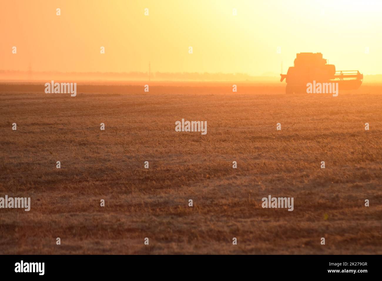 La récolte par associe au coucher du soleil. Banque D'Images