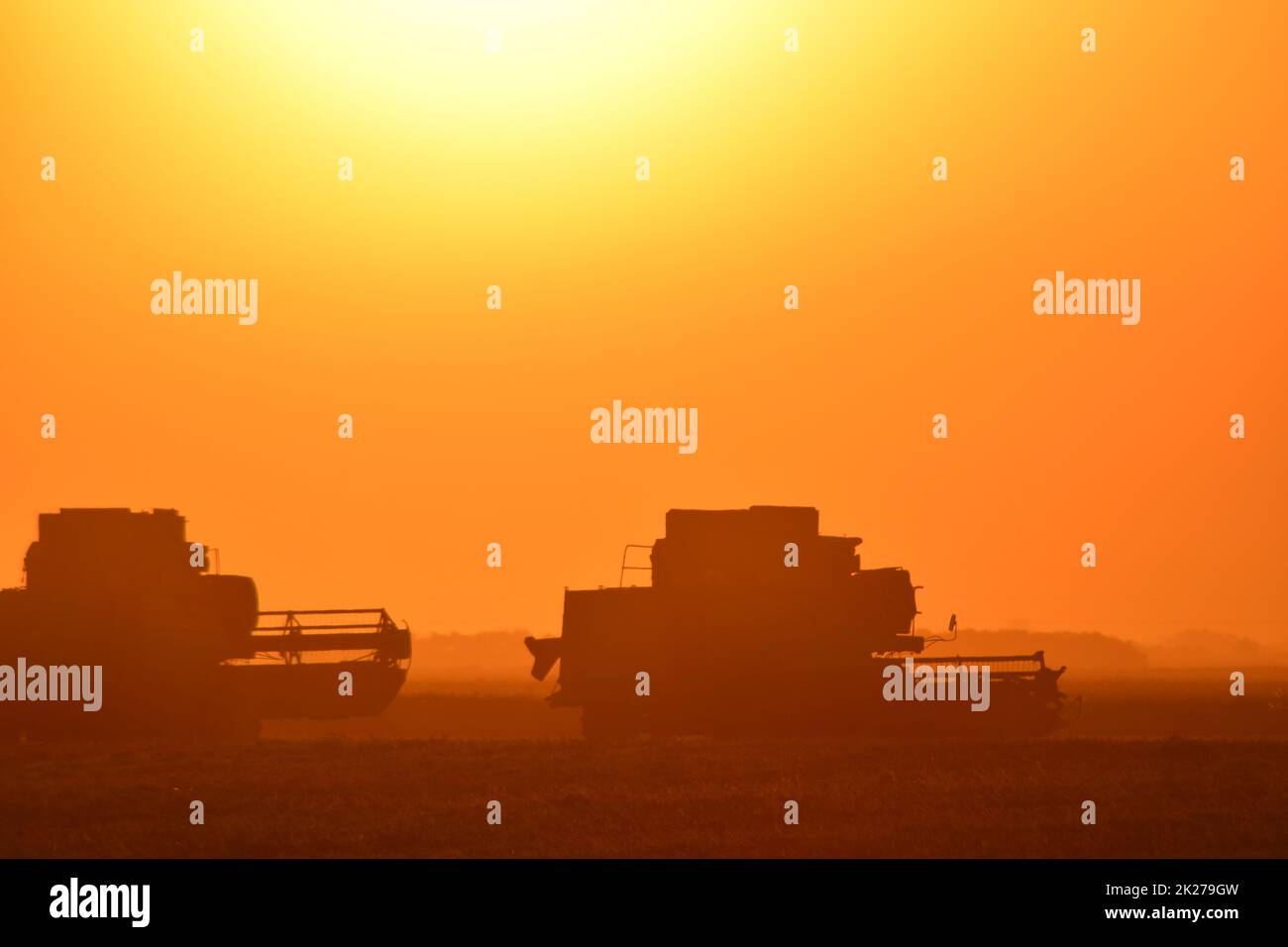 La récolte par associe au coucher du soleil. Banque D'Images