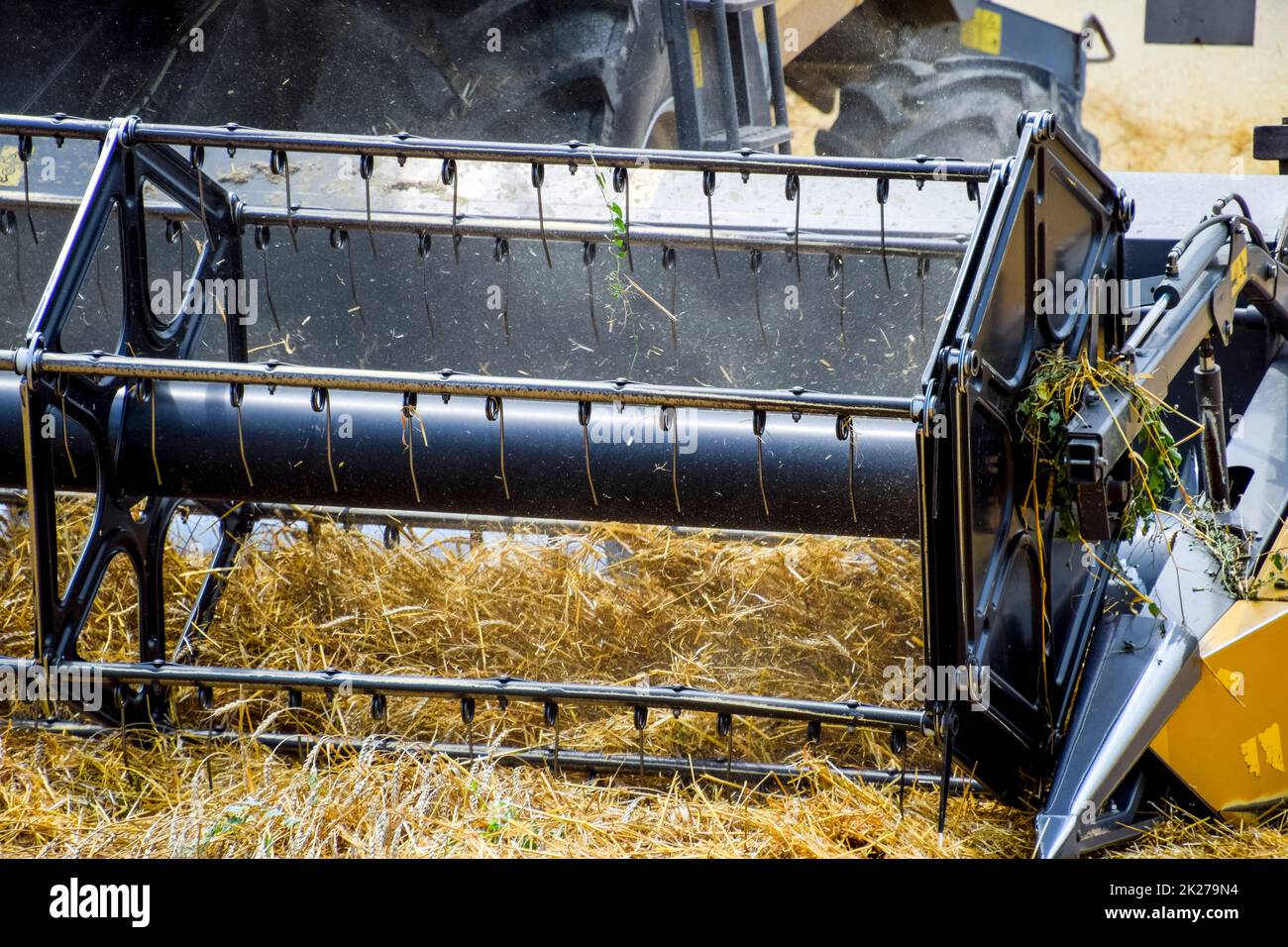 La récolte de blé avec une moissonneuse-batteuse. Banque D'Images