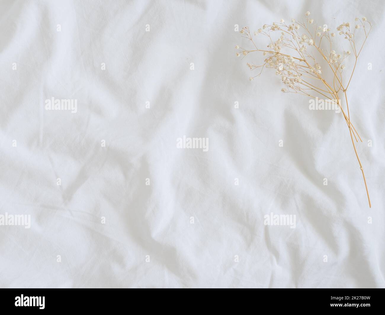 Drap de lit esthétique et fond de fleur séchée Banque D'Images