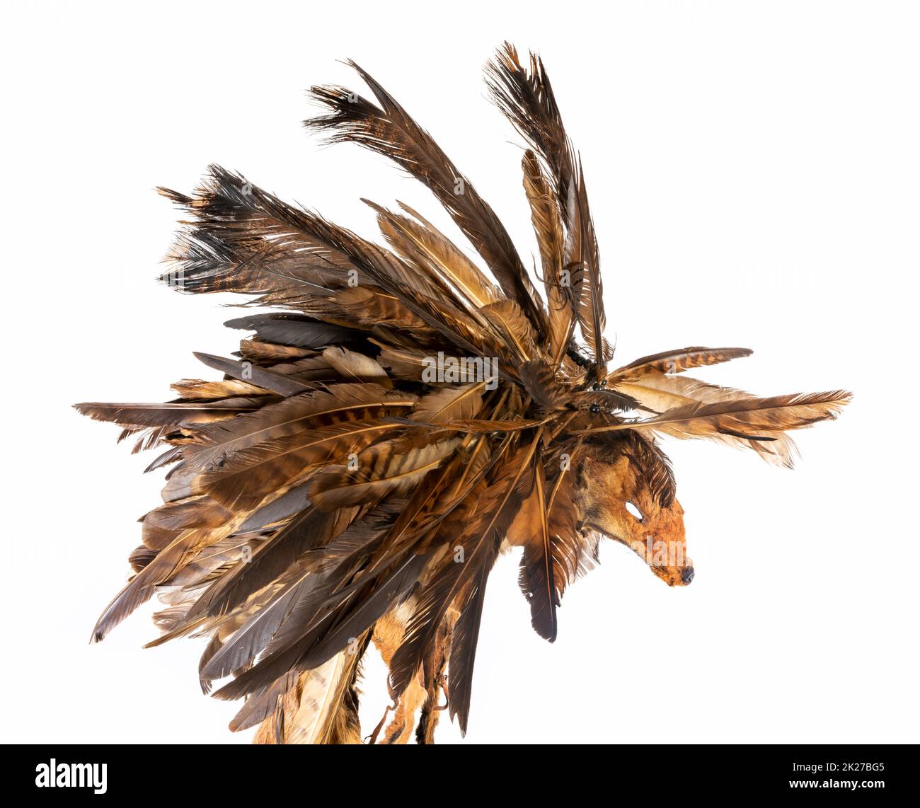 Réplique d'un vieux bonnet en fourrure de renard et plumes à la mode des Indiens de l'Amérique du Nord Banque D'Images