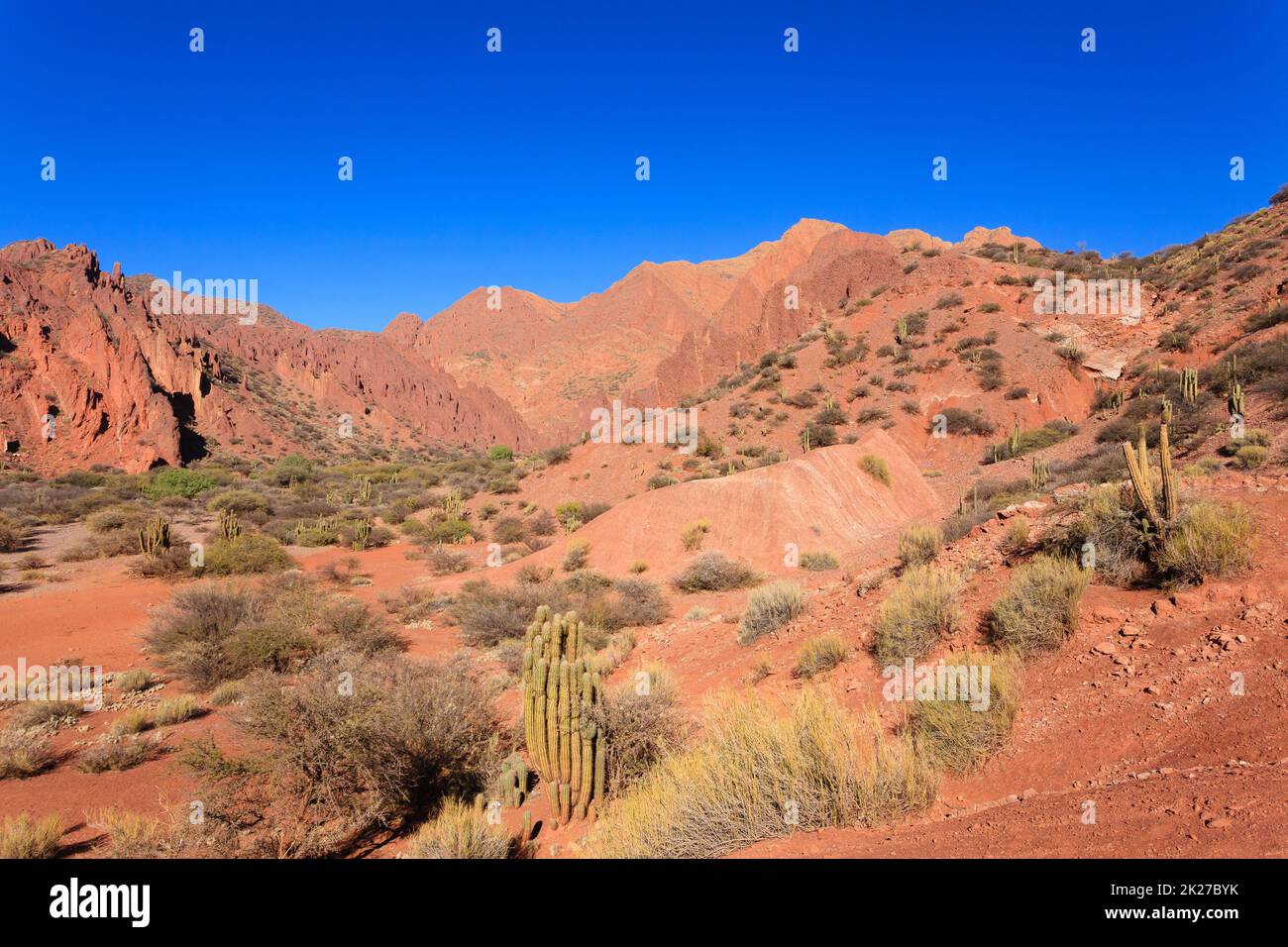 Canyon bolivien près de Tupiza, Bolivie Banque D'Images