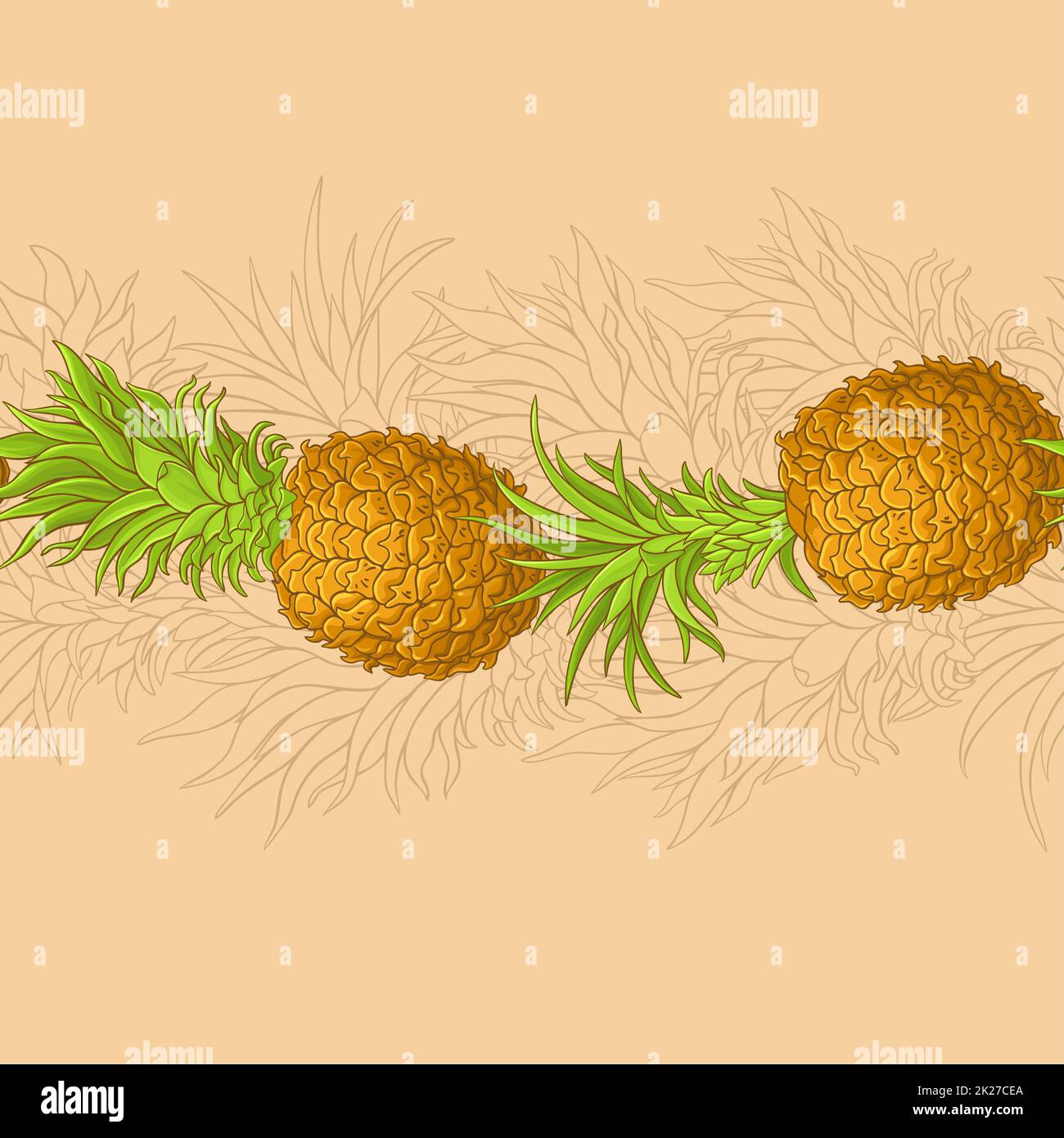 motif vectoriel ananas Banque D'Images