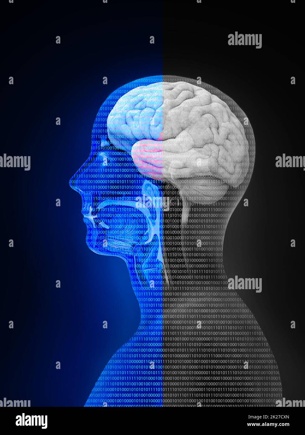 Tête. Psychologie, trouble bipolaire, émotion, dualité, ambivalence et concept de personnalité. Conception plate. illustration, pas de transparence, rendu 3d Banque D'Images