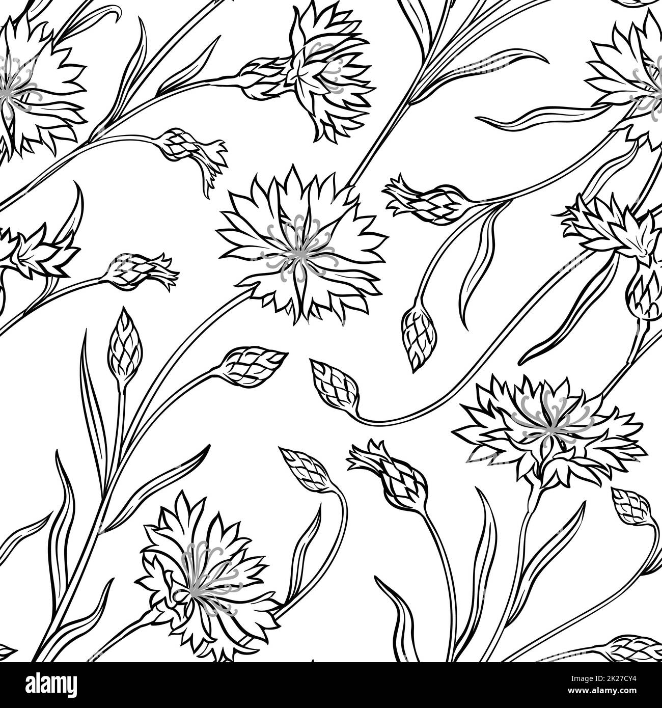 motif sans couture de fleur de maïs Banque D'Images