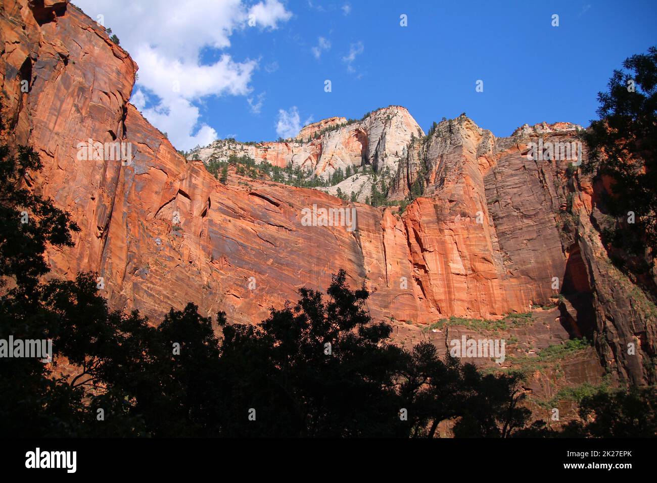 Les nuances de rouge peintes sur les falaises du parc national de Zion Banque D'Images