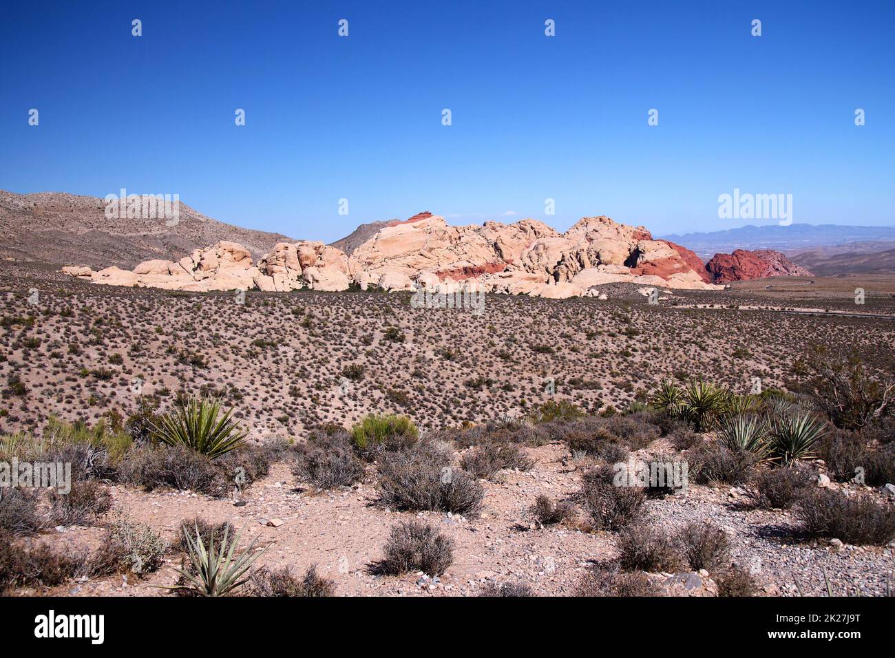 Le désert dangereux et spectaculaire avec le Red Rock Canyon à l'arrière Banque D'Images