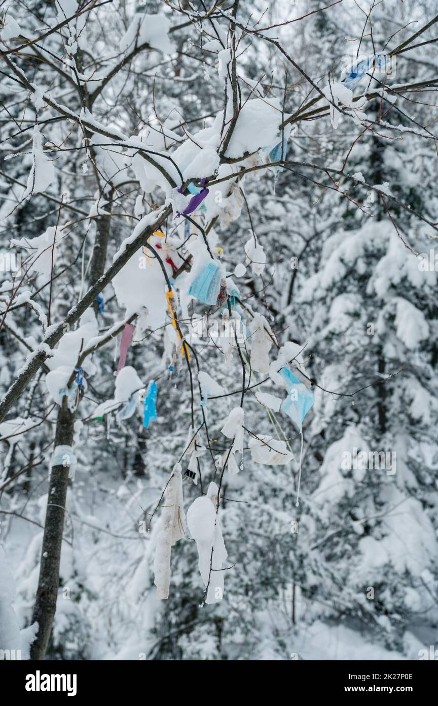 Masques chirurgicaux sur les arbres en forêt d'hiver Banque D'Images