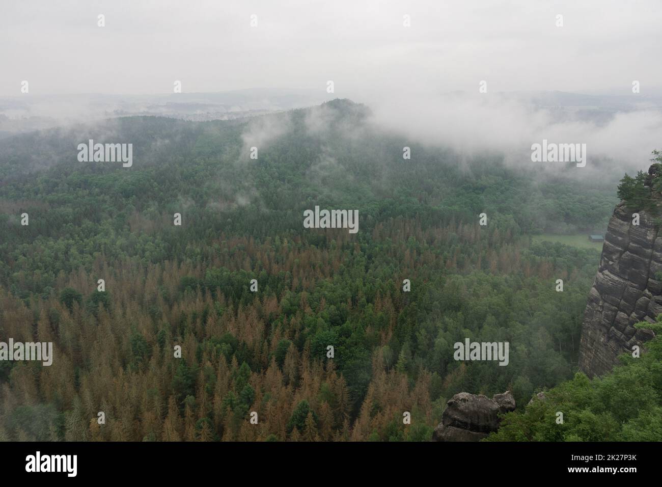 Un matin nuageux tôt en montagne. Schrammsteine - groupe de roches sont un long, strung-out, très déchiquetés dans les montagnes de grès d'Elbe situé en Suisse saxonne en Allemagne de l'est. Banque D'Images