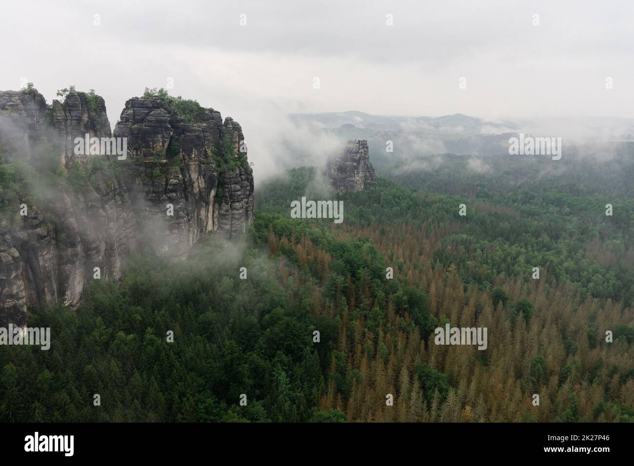 Un matin nuageux tôt en montagne. Schrammsteine - groupe de roches sont un long, strung-out, très déchiquetés dans les montagnes de grès d'Elbe situé en Suisse saxonne en Allemagne de l'est. Banque D'Images