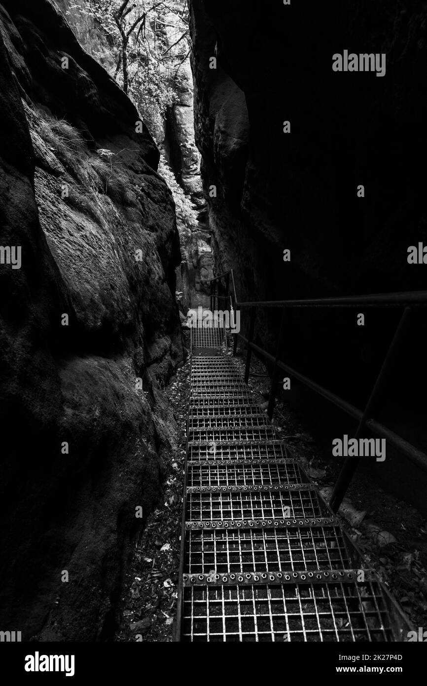 Sentiers dans les montagnes de grès de l'Elbe.Saxe Suisse.Allemagne.Noir et blanc. Banque D'Images