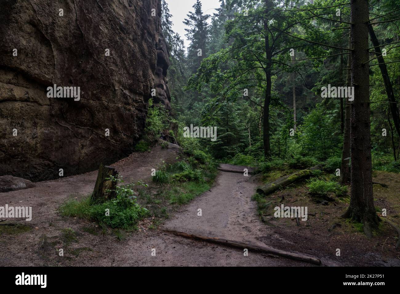 Sentiers forestiers dans les contreforts des montagnes de grès de l'Elbe.Saxe Suisse.Allemagne Banque D'Images