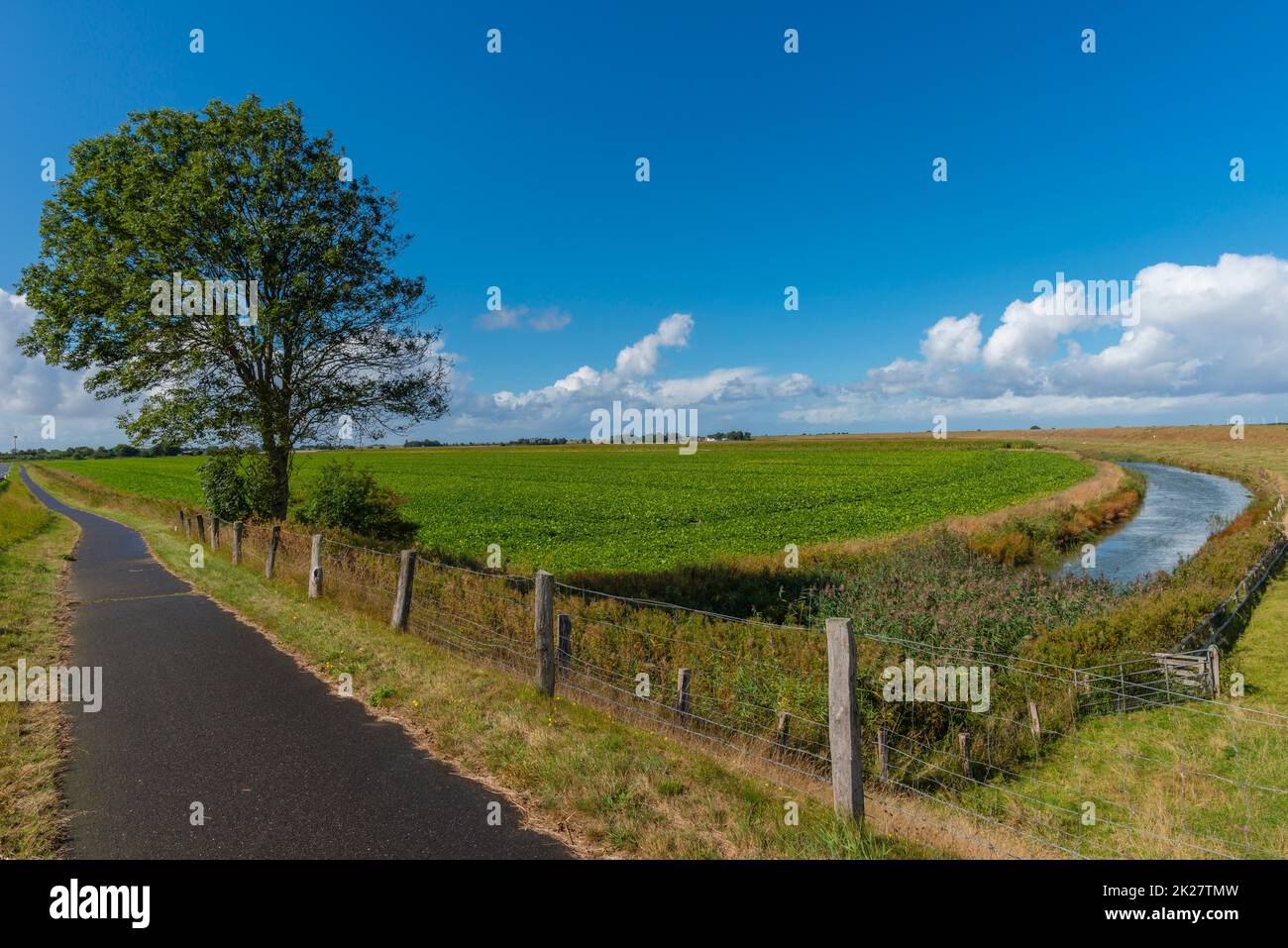 Campagne agricole sur la péninsule Nordstrand, Mer du Nord, Frise du Nord, Schleswig-Holstein, Allemagne du Nord, Banque D'Images