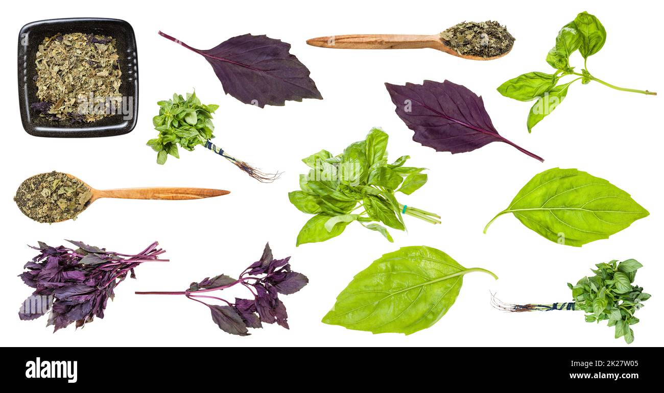 ensemble de diverses herbes de basilic isolées sur blanc Banque D'Images