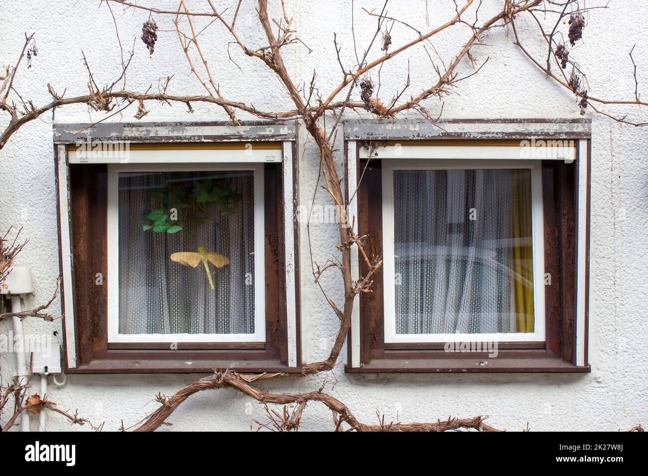 Maison à Witzenhausen dans la vallée de Werra en Allemagne Banque D'Images