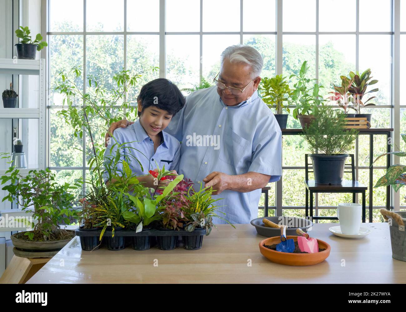 Le grand-père à la retraite a passé les vacances avec son petit-fils qui s'occupe du jardin intérieur. Banque D'Images