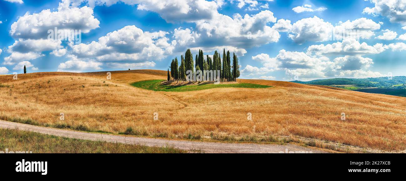 Groupe emblématique de cyprès à San Quirico d'Orcia, Toscane, Italie Banque D'Images