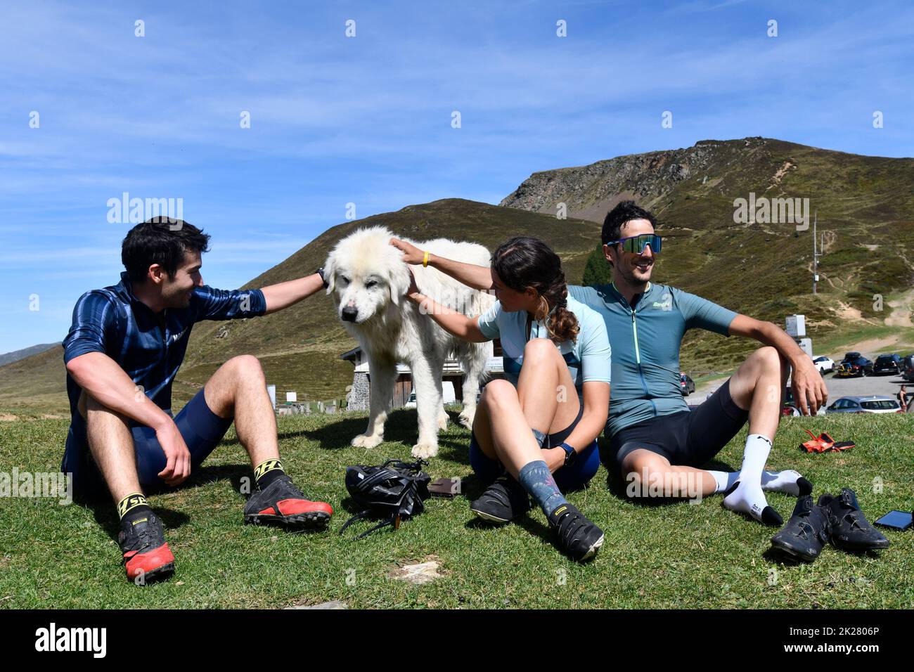 Un chien de montagne pyrénéen en en activité prend le temps de surveiller les moutons ro mix avec les cyclistes sur le Col du Soulor dans les pyrénées, à la frontière de la France an Banque D'Images