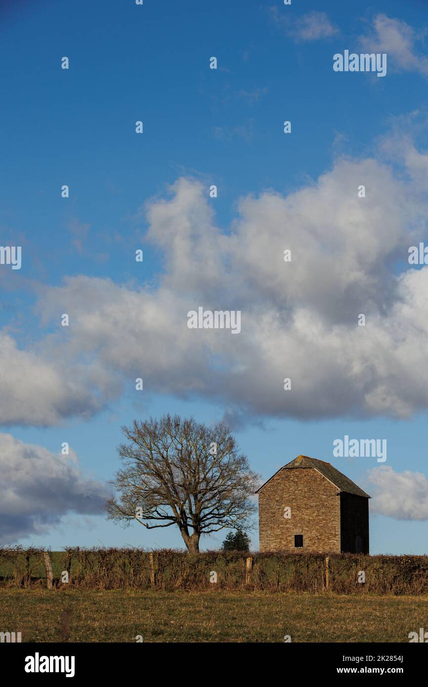 Paysage avec ancienne maison et arbre Banque D'Images