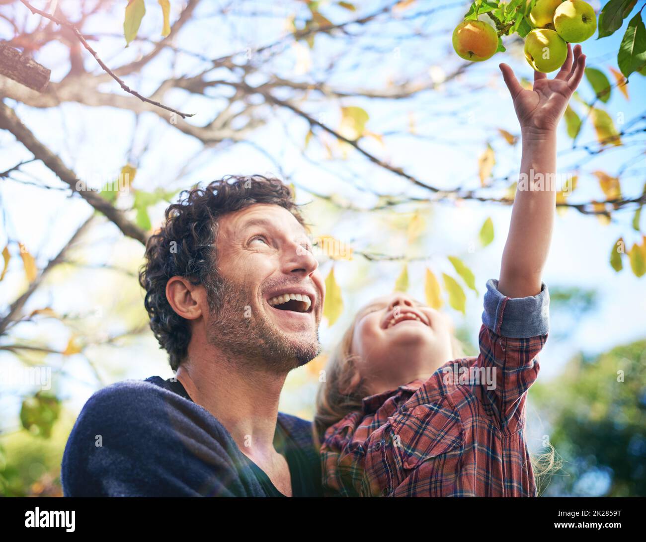 Profitez des cadeaux de la nature. Une petite fille et son père dans le jardin en automne. Banque D'Images