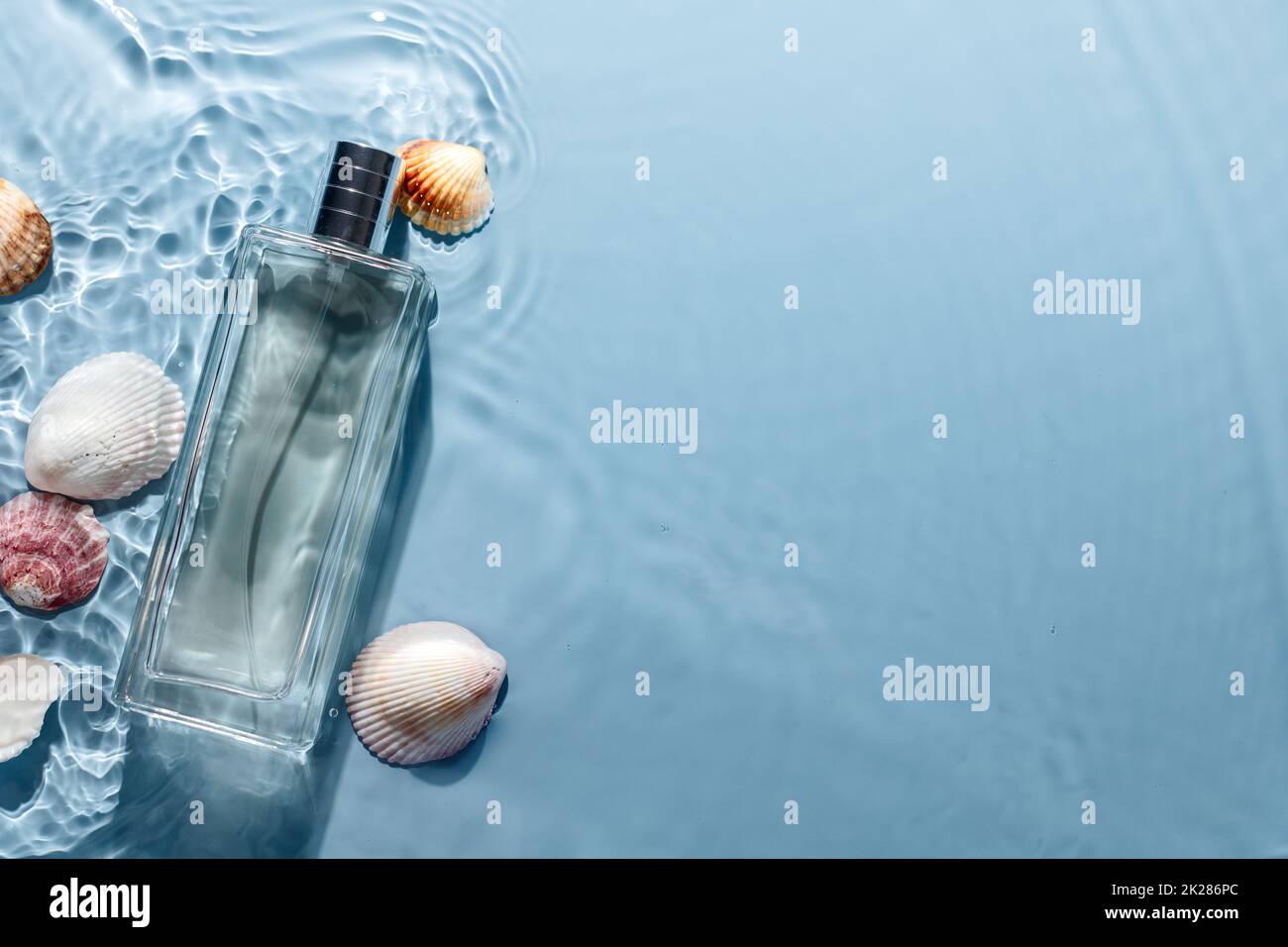 Bouteille de parfum sur fond bleu ondulé avec coquillages.Concept de parfum de la mer fraîche. Banque D'Images