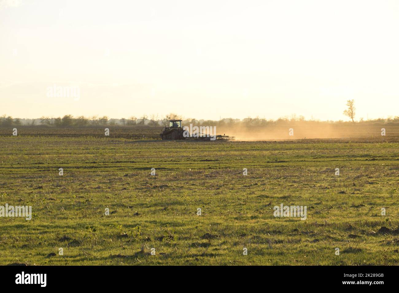 Tracteur au coucher du soleil labourer un champ. Labourage du sol à l'automne après la récolte. La fin de la saison Banque D'Images