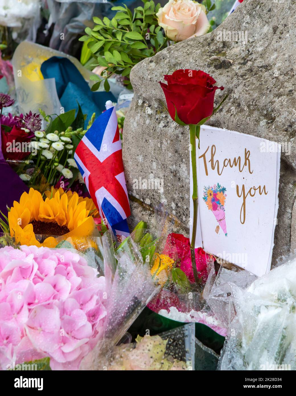 Londres, Royaume-Uni - 9 septembre 2022 : fleurs laissées par des adeptes au palais de Buckingham à Londres, Royaume-Uni, en commémoration de la reine Elizabeth II, qui a perdu la vie Banque D'Images