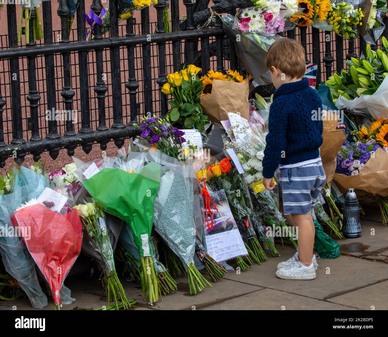 Londres, Royaume-Uni - 9 septembre 2022 : un enfant regarde les fleurs laissées par les adeptes de Buckingham Palace à Londres, à la mémoire d'Elizabeth II, qui a perdu la vie Banque D'Images