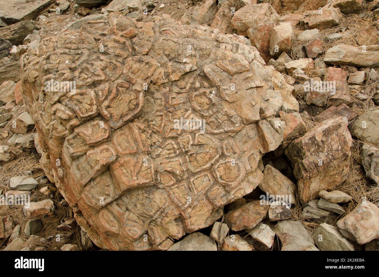 Roche avec colonnes de basalte hexagonales. Banque D'Images