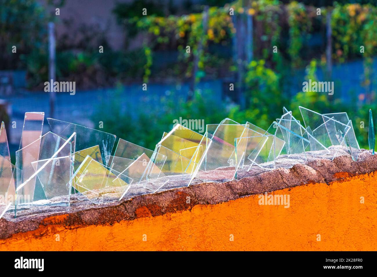 Mur dangereux avec des éclats de verre brisés Playa del Carmen Mexique. Banque D'Images