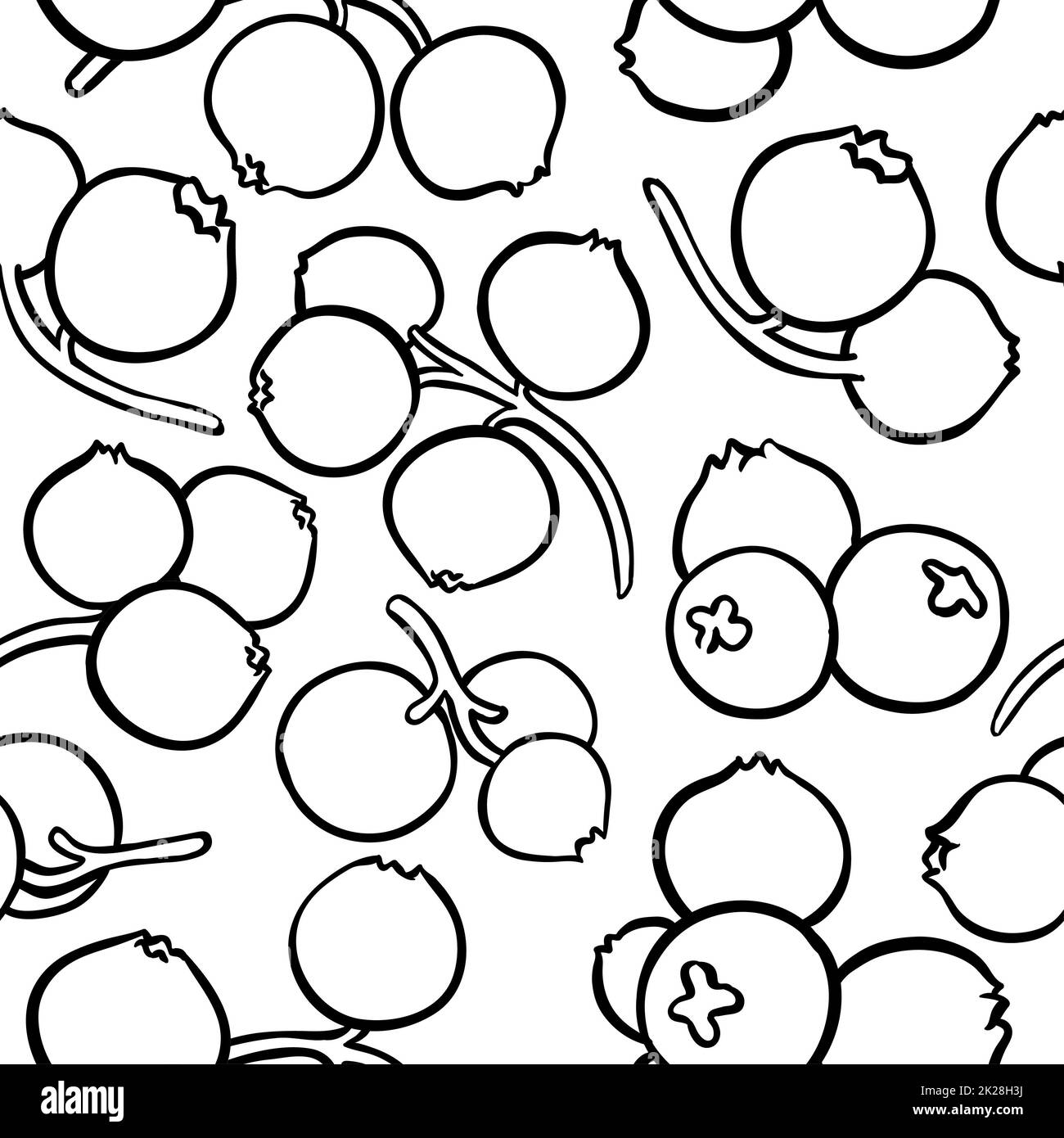 motif vectoriel de canneberges Banque D'Images