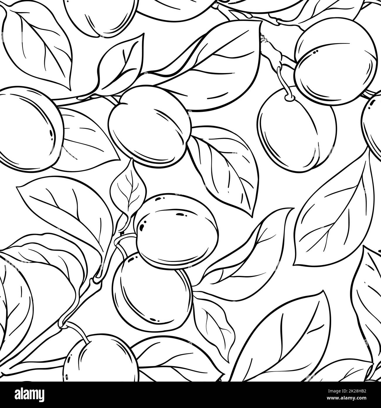 motif vectoriel branches prune sur fond blanc Banque D'Images