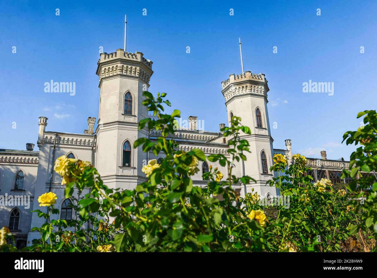 Roses près du château Banque D'Images