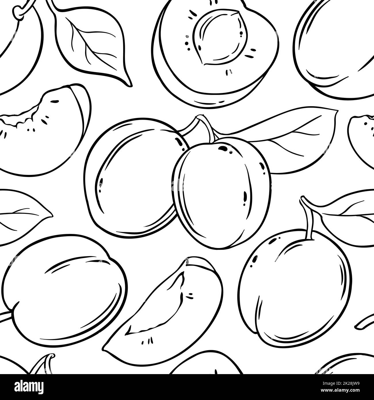motif vectoriel prune fruit sur fond blanc Banque D'Images
