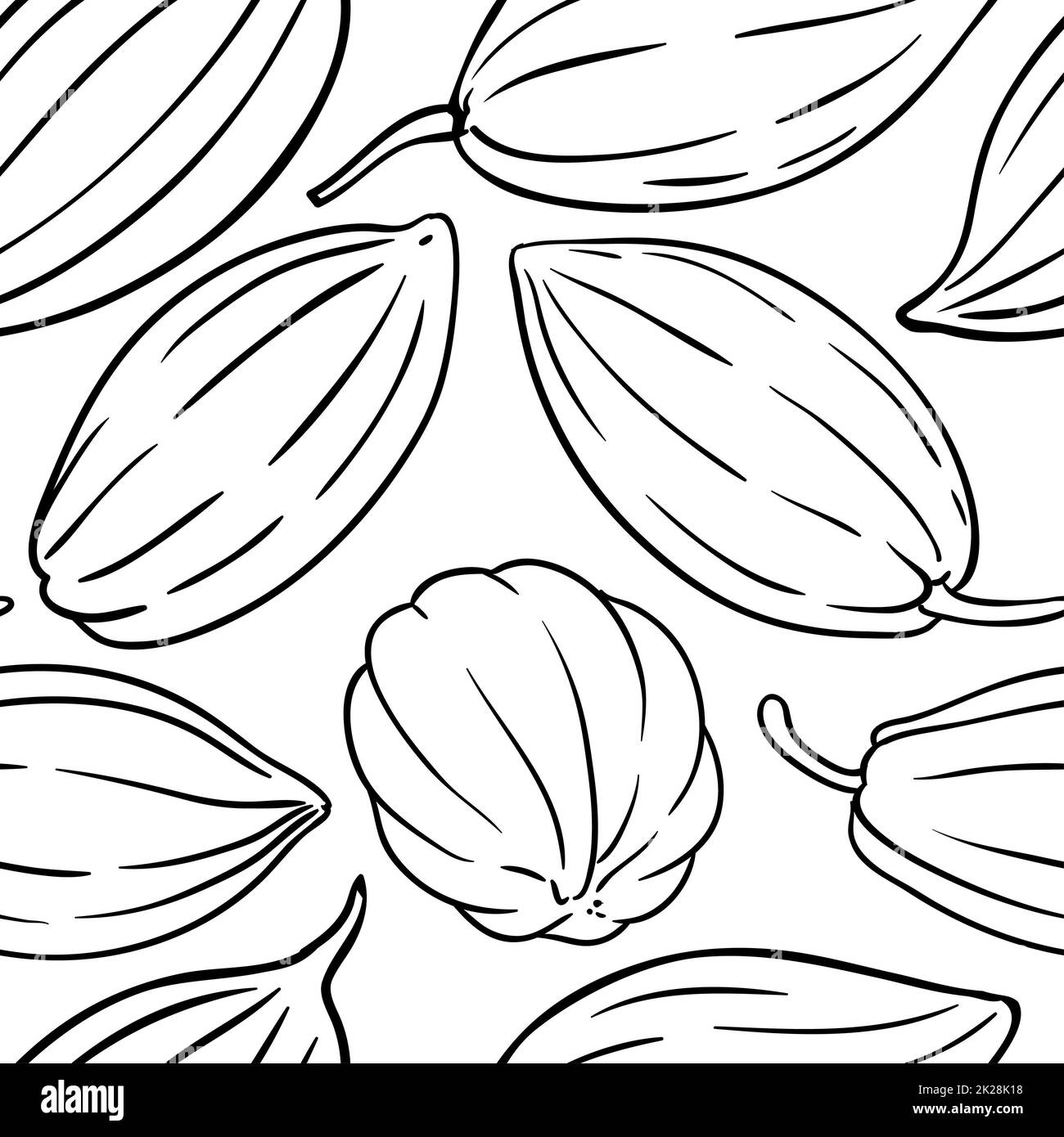 motif vectoriel de graines de cacao sur fond blanc Banque D'Images