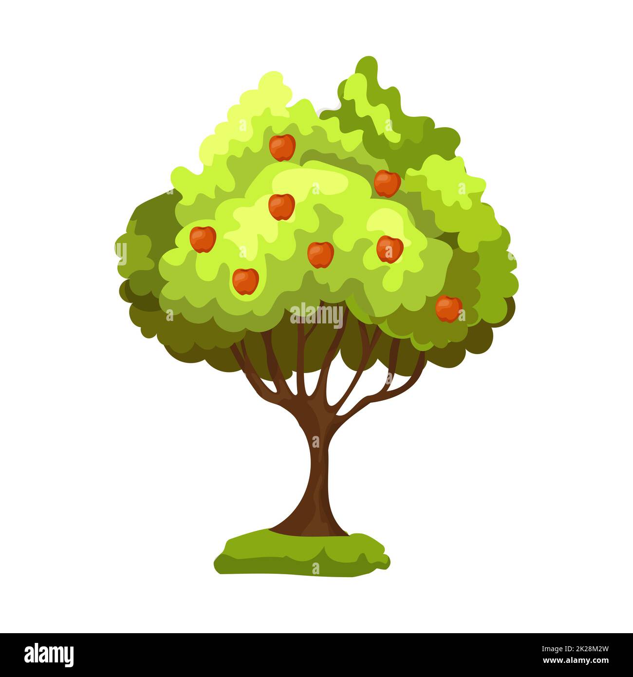 Pommier vert réaliste avec pommes rouges isolées sur fond blanc - Vector Banque D'Images