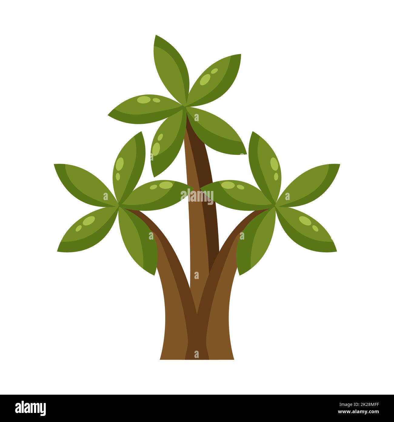 Palmier vert abstrait isolé sur fond blanc - Vector Banque D'Images