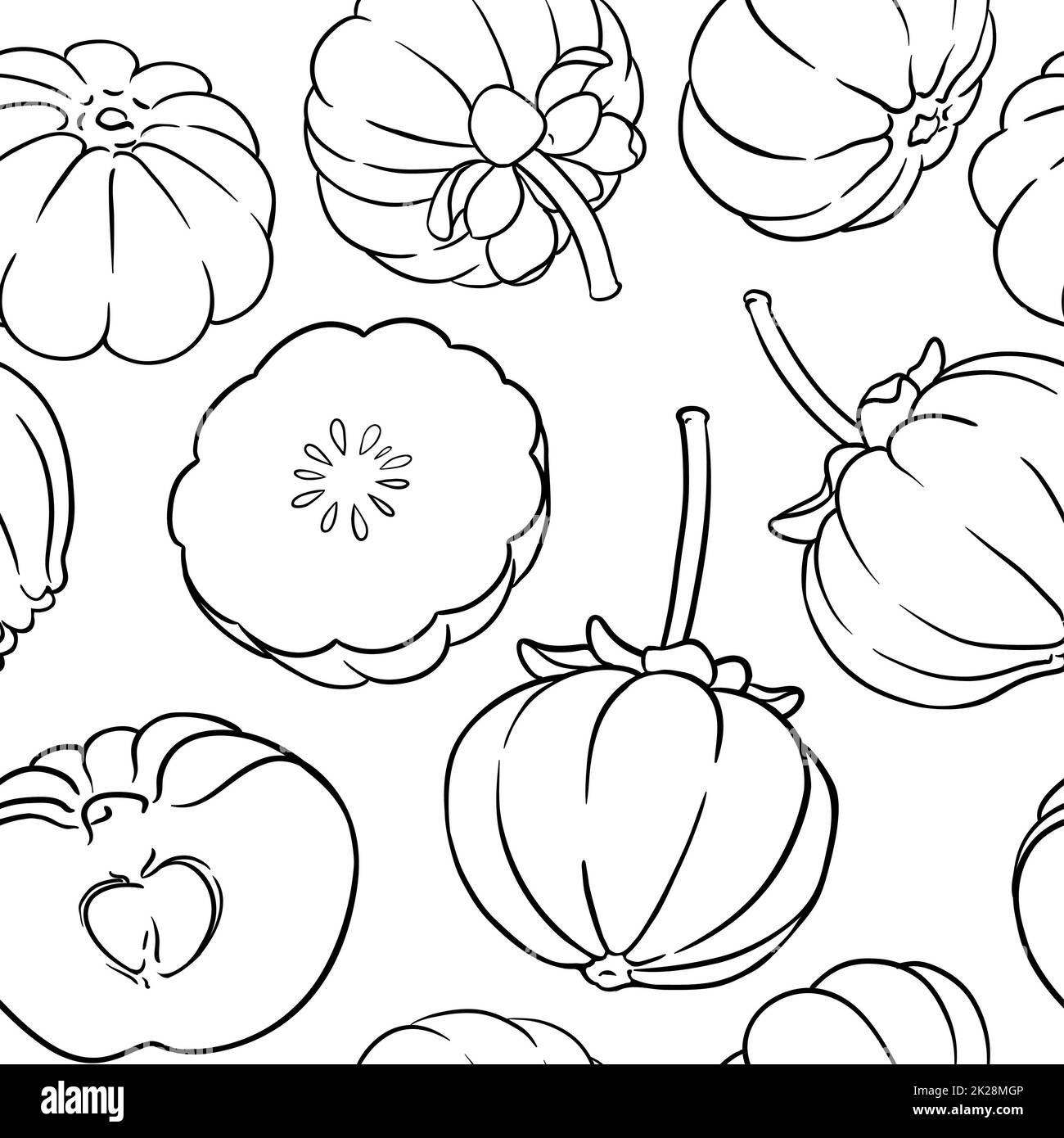motif vectoriel de fruits garcinia sur fond blanc Banque D'Images